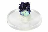 Sparkling Azurite Crystals on Chrysocolla - Laos #162560-1